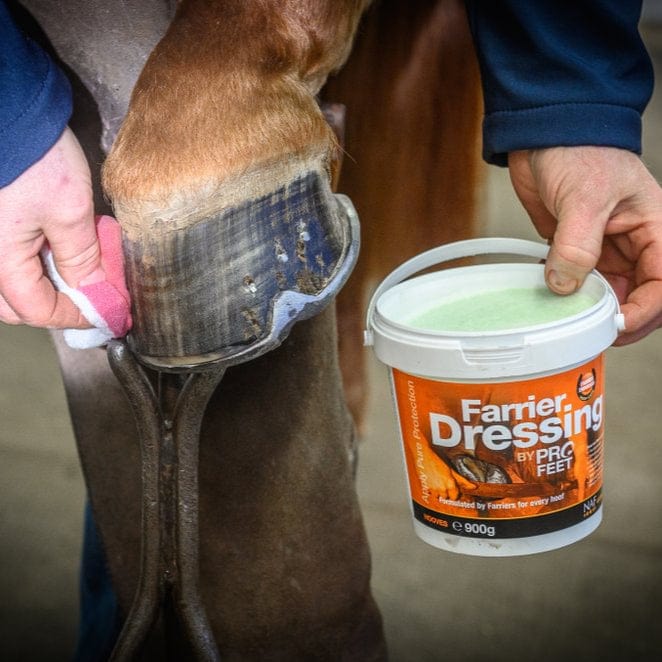 Farrier Dressing - Image 2