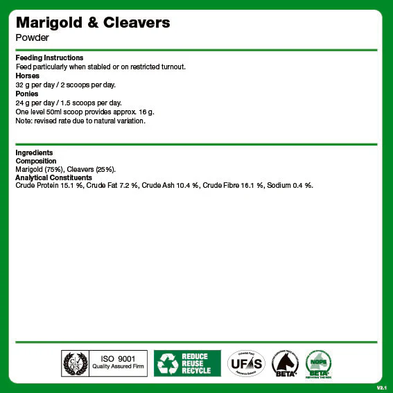 Marigold and Cleavers - Image 2