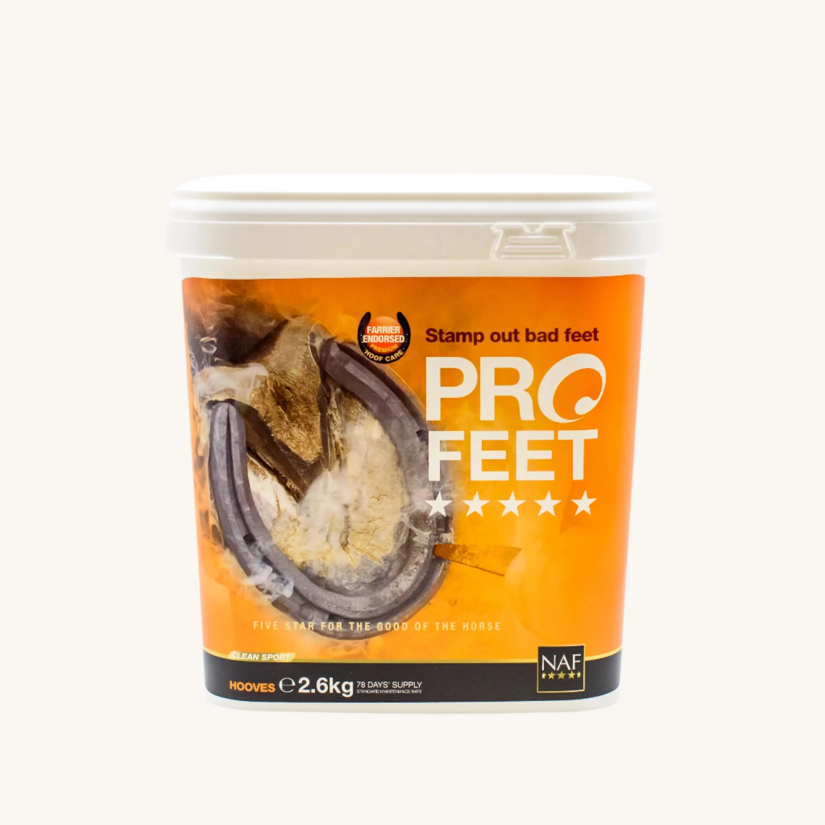 PROFEET Powder - Image 3